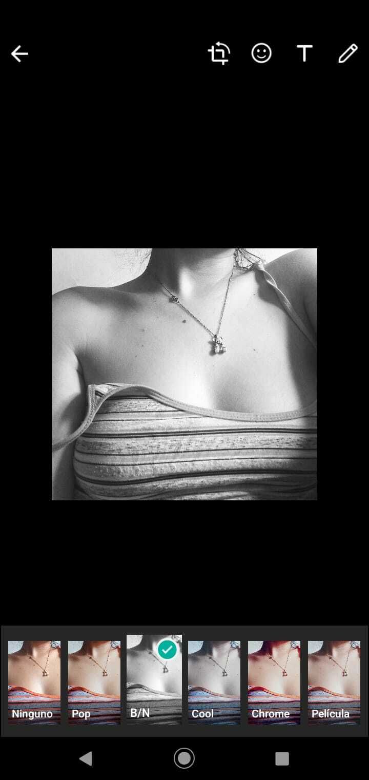 sbellota09 OnlyFans profile picture