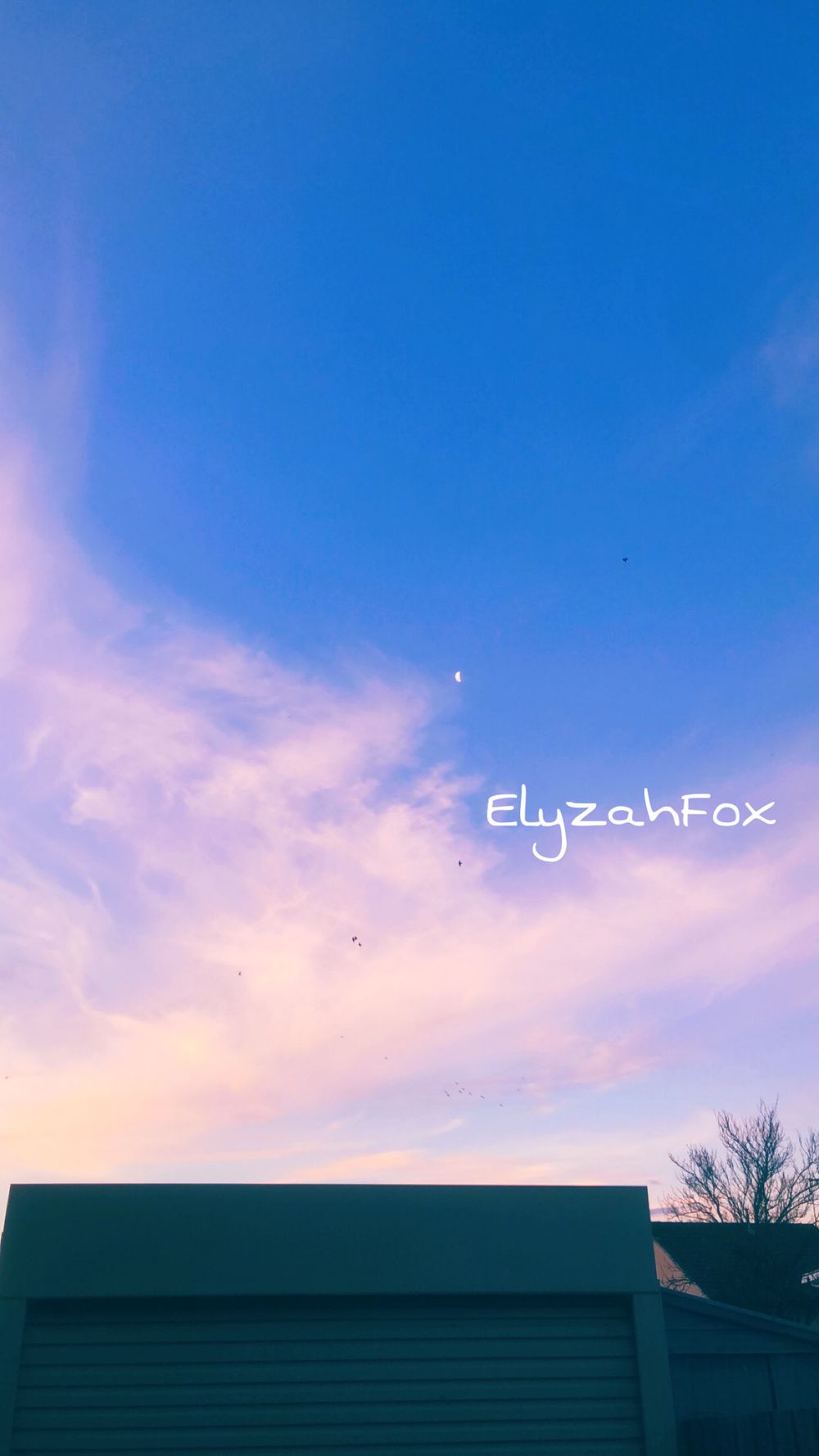 elyzahfox OnlyFans profile picture