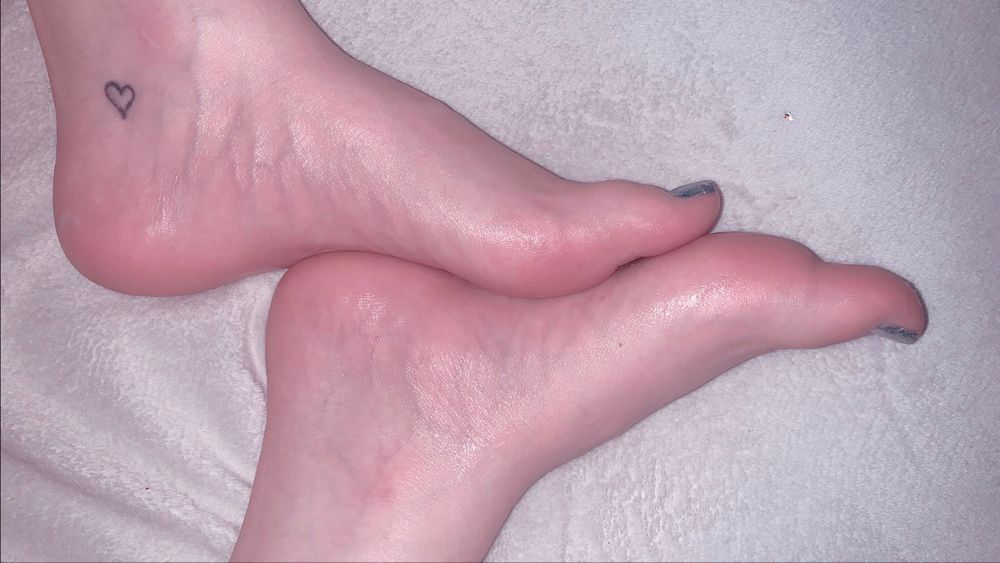 porcelain_paws OnlyFans profile picture