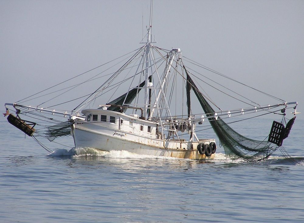 shrimpboat OnlyFans profile picture