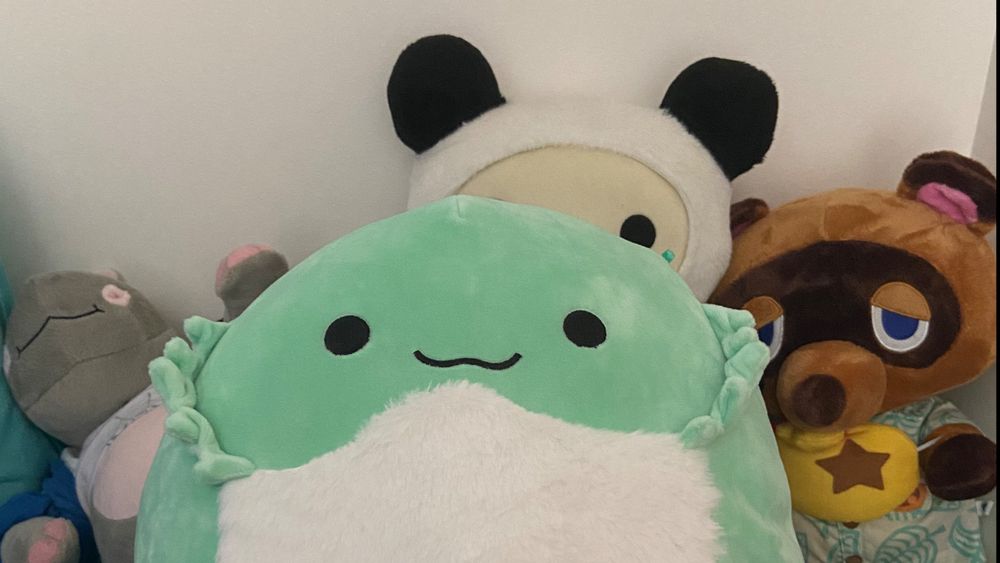 boredqueerpandi OnlyFans profile picture