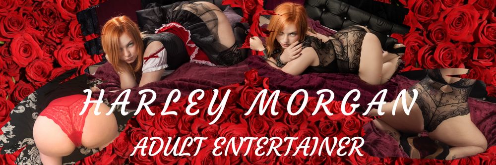 harleymorgan01 OnlyFans profile picture