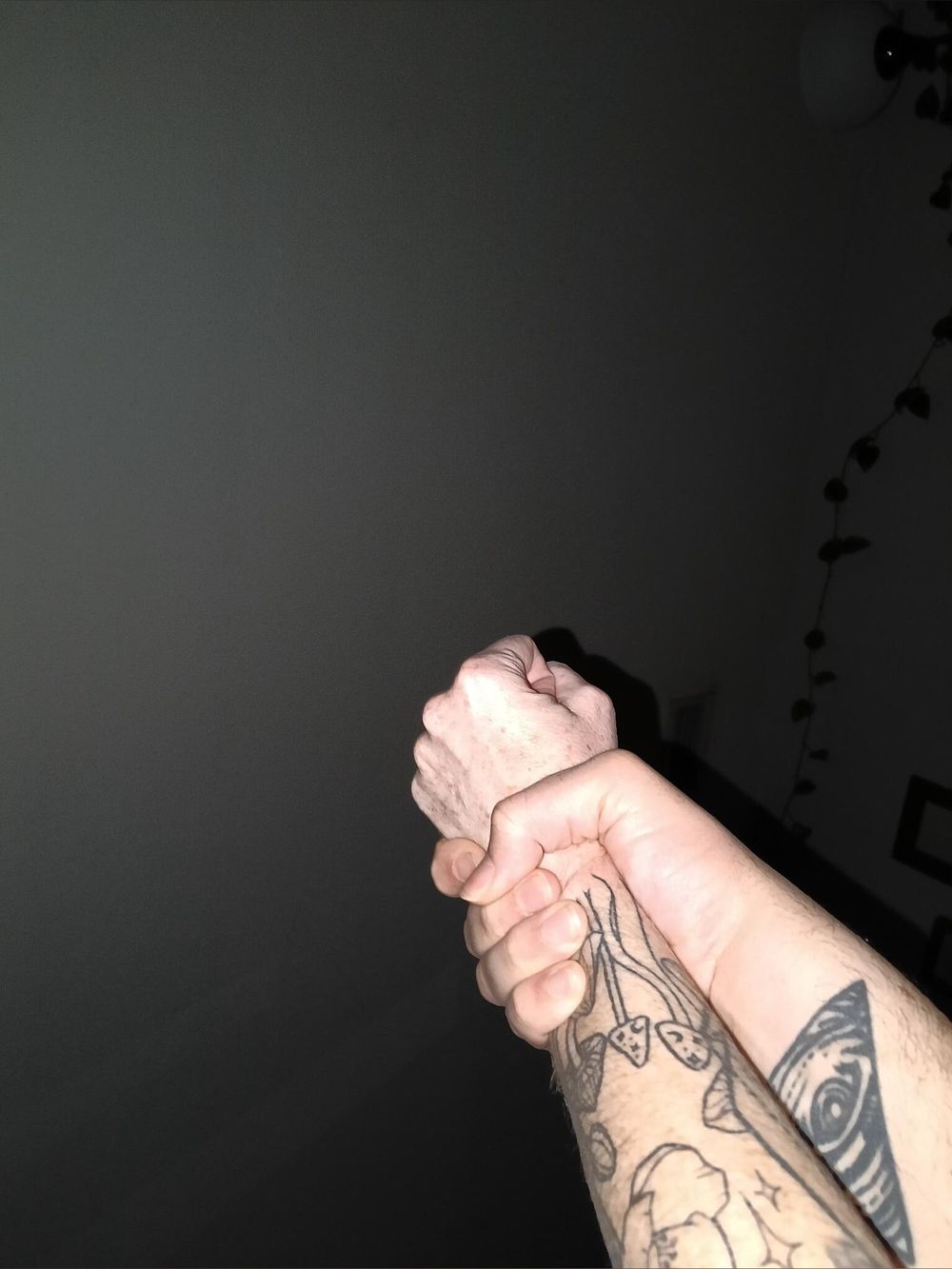inaraserra OnlyFans profile picture