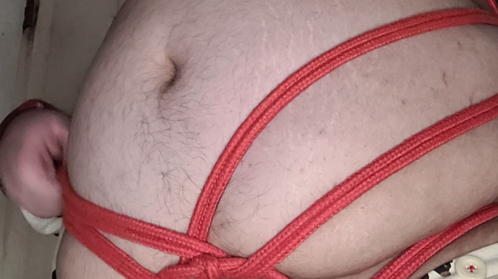 zen_thepiglet OnlyFans profile picture