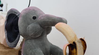 s1uttyelephant420 OnlyFans picture