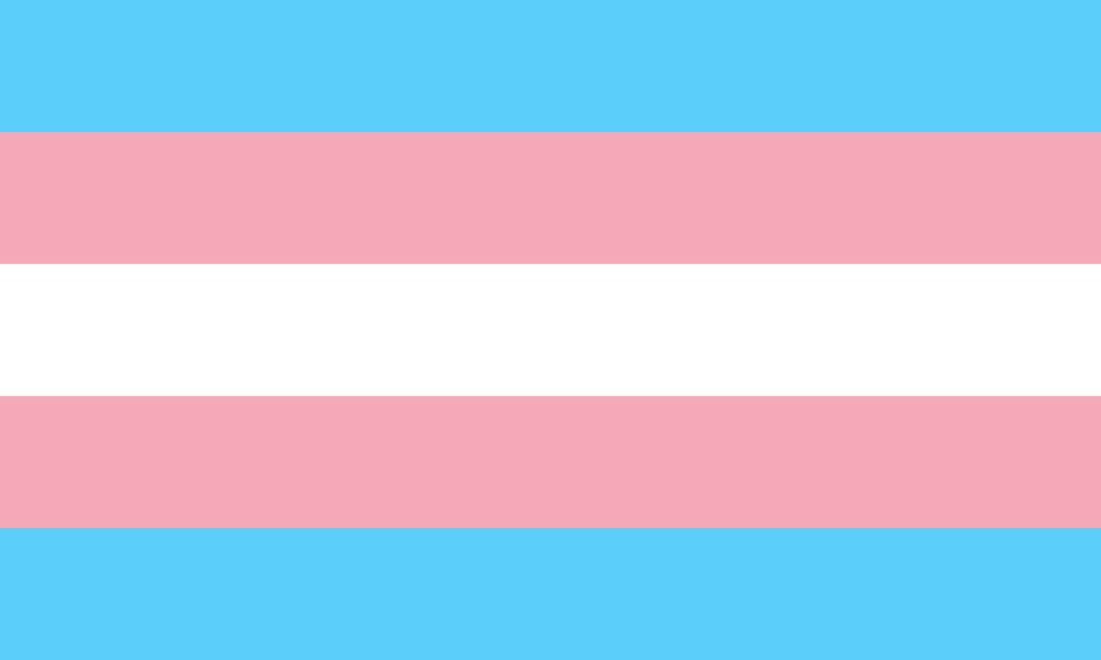 transkendoll OnlyFans profile picture