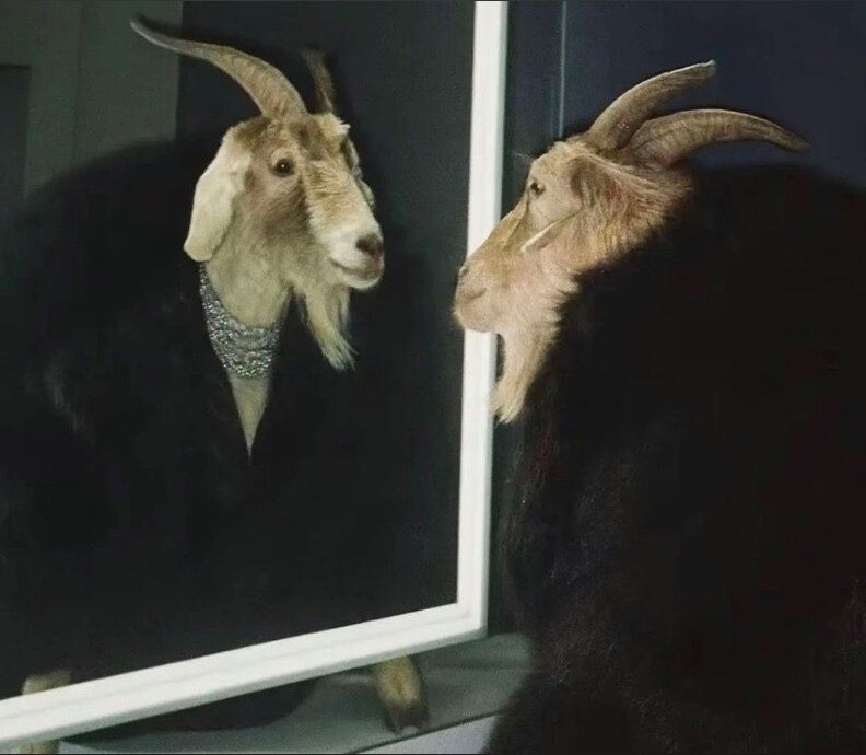 enastythegoat OnlyFans profile picture