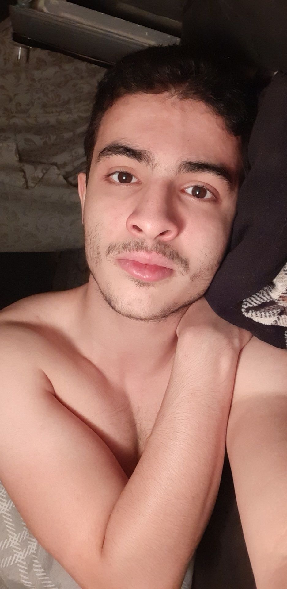 princealixoxoxo OnlyFans profile picture