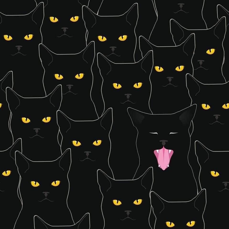 lonelyraven OnlyFans profile picture