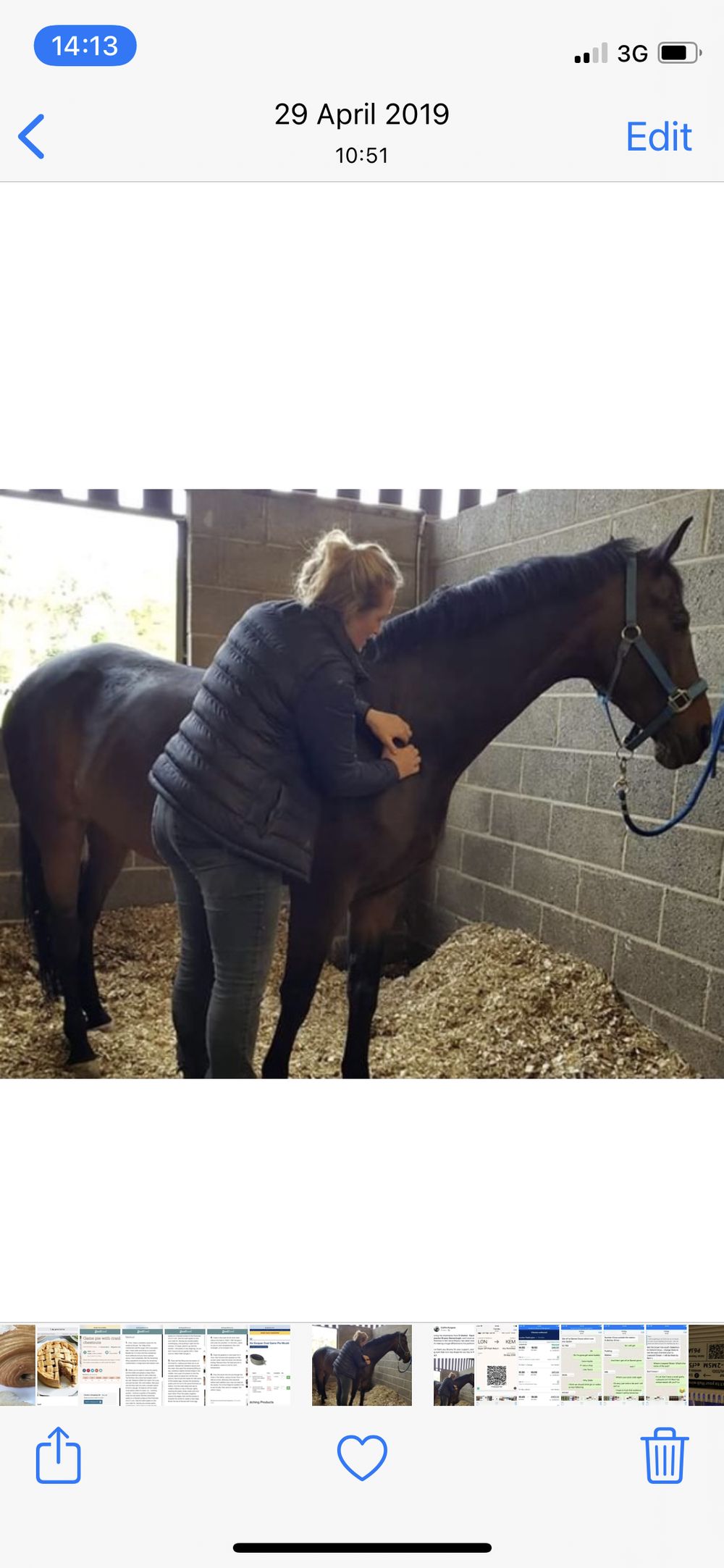 equinemassage OnlyFans profile picture
