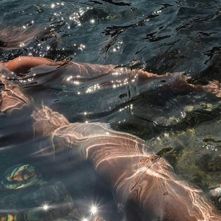 anitasays OnlyFans profile picture