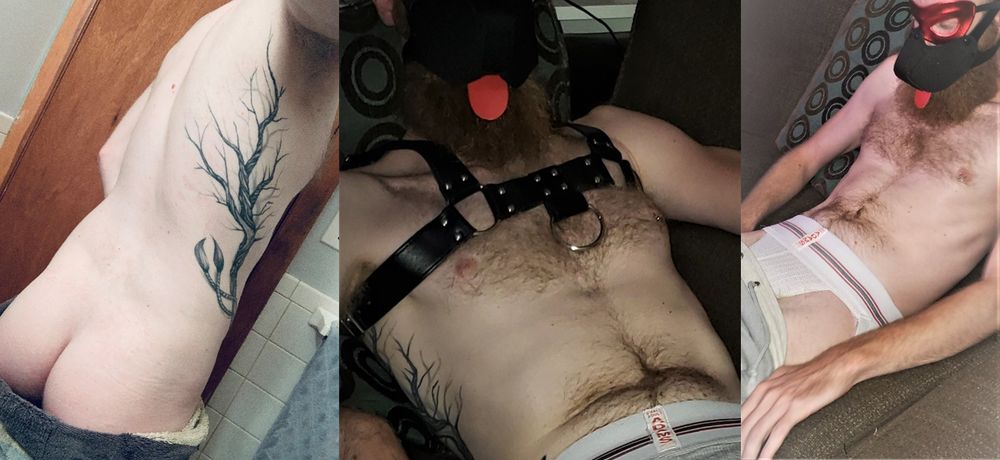 otrpupbjorn OnlyFans profile picture