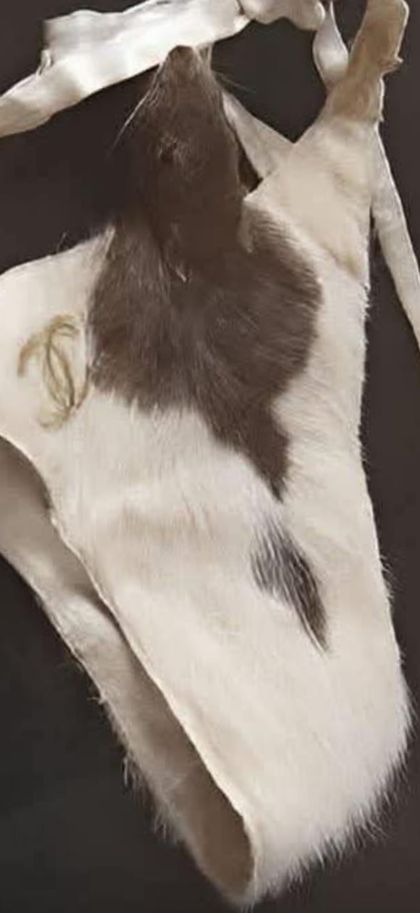 taxiderm OnlyFans picture