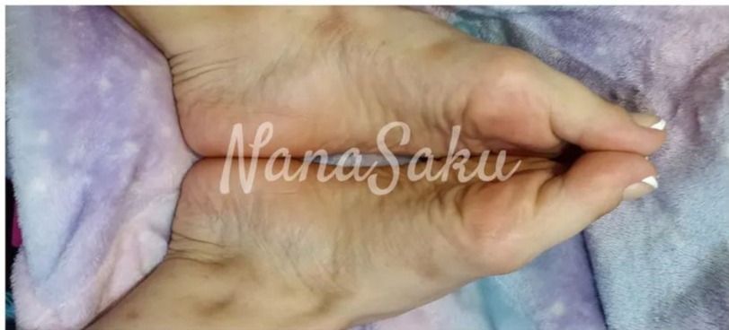 sakunina OnlyFans profile picture