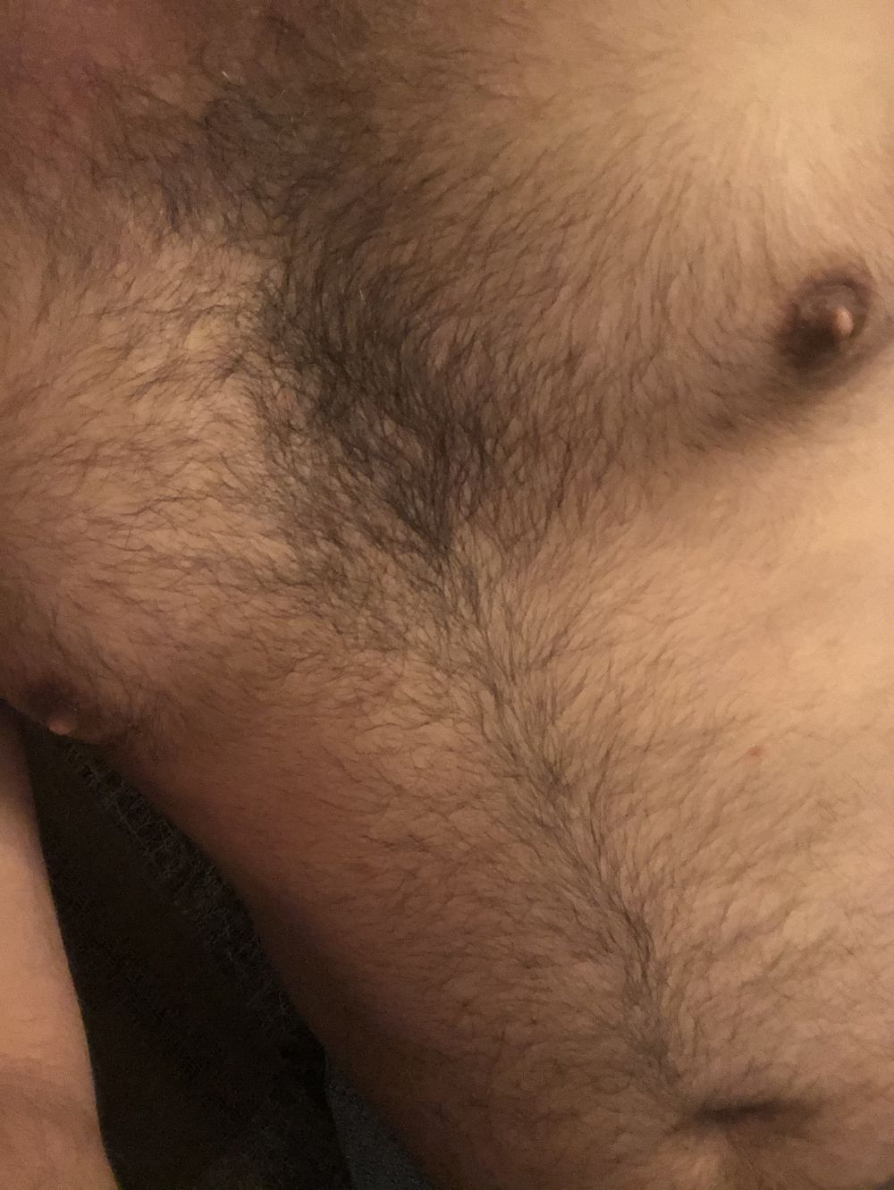 hairytea OnlyFans profile picture