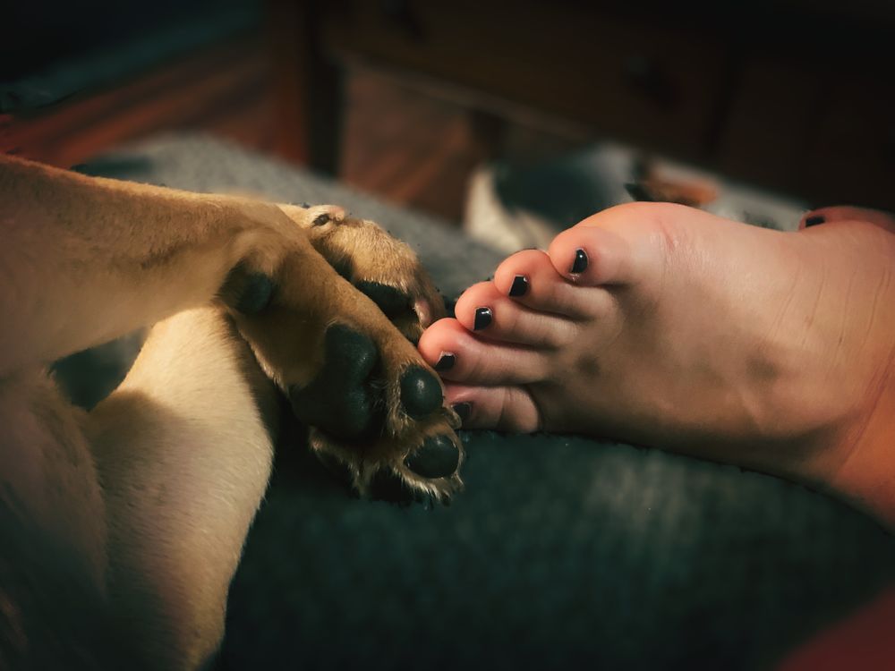 boholittletoe OnlyFans profile picture