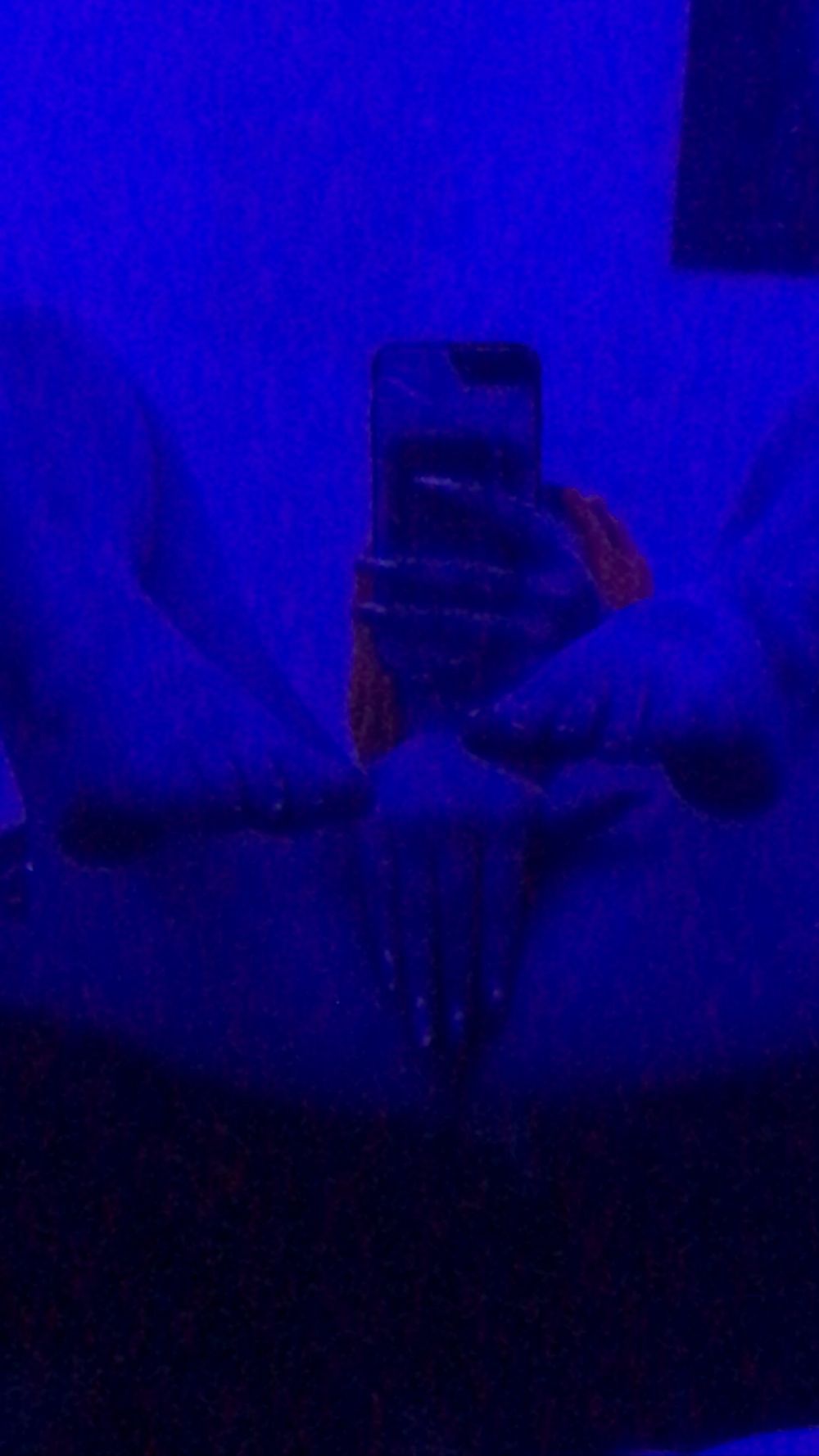 nini2toxic OnlyFans profile picture