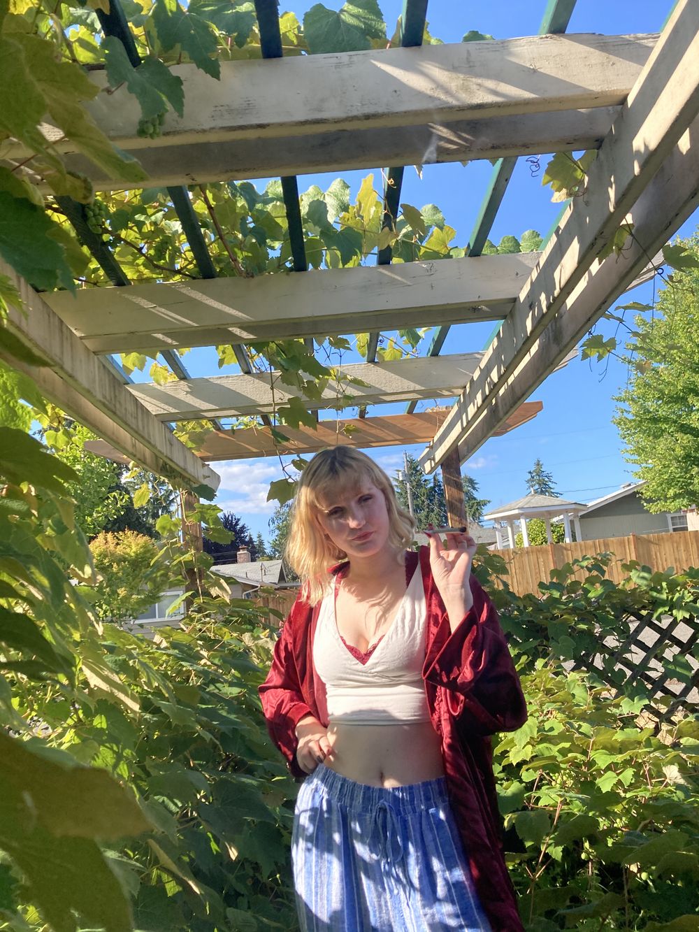 pay_aphrodisia OnlyFans profile picture