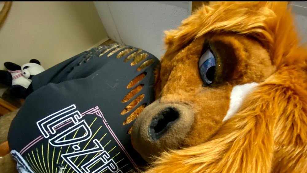 rain_horsie OnlyFans profile picture