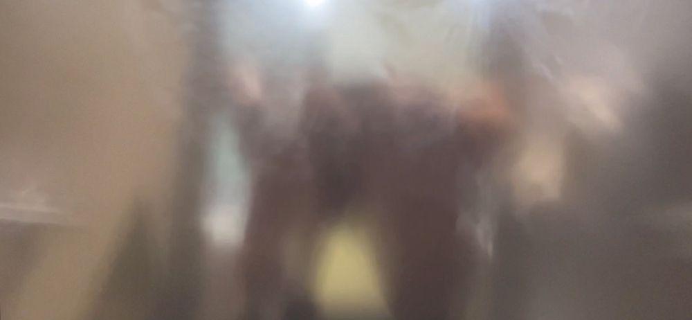 bouncingbtm OnlyFans profile picture