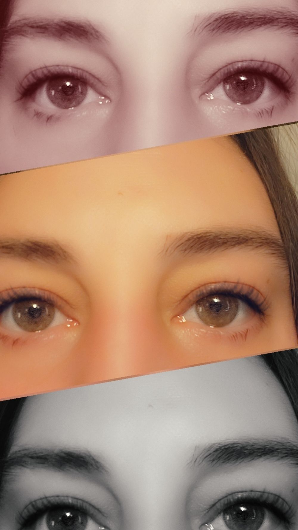 curiouscritter OnlyFans profile picture