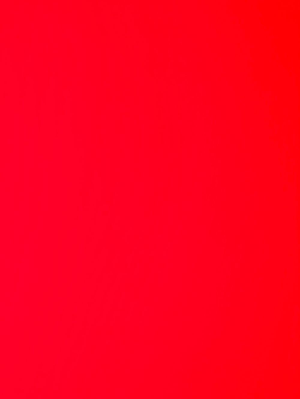 u81899577 OnlyFans profile picture