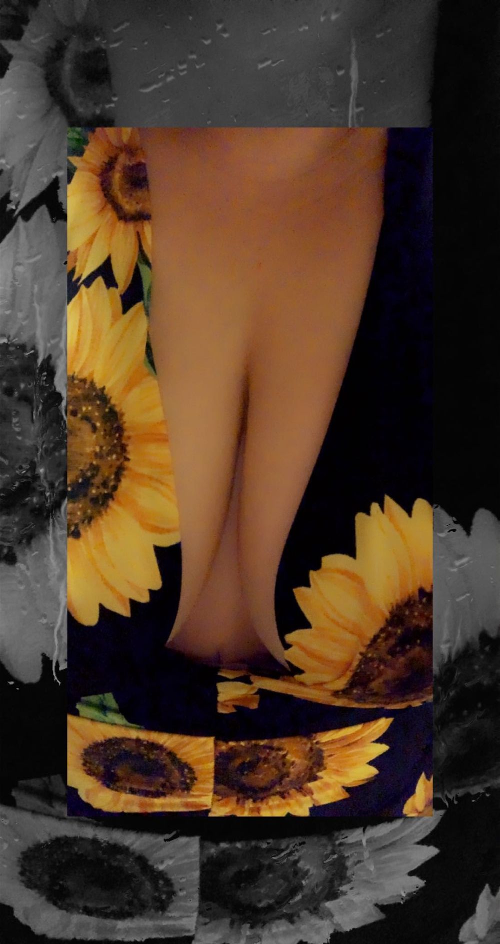 u64496114 OnlyFans profile picture