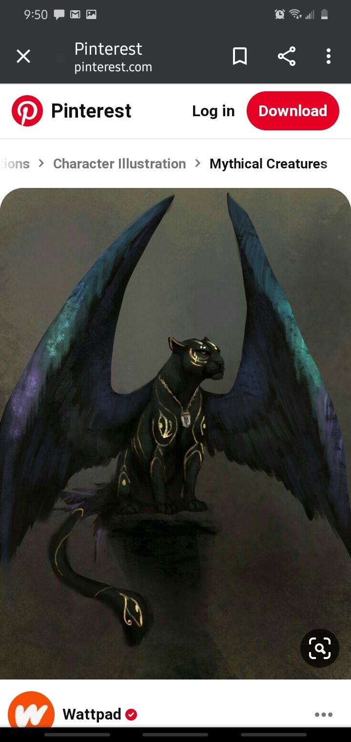 moonshinesachimera OnlyFans profile picture
