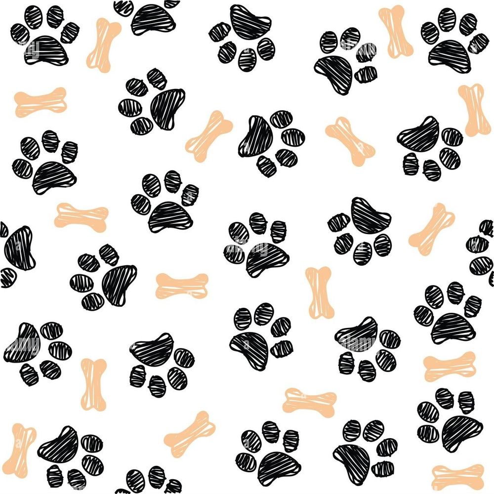 puppyboyshepherd OnlyFans profile picture