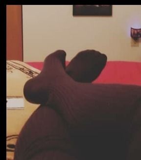footfetishfreak6969 OnlyFans profile picture