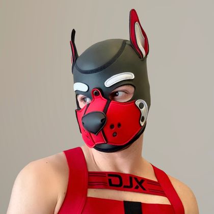 thepupclifford OnlyFans picture