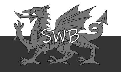 shywelshboy OnlyFans picture
