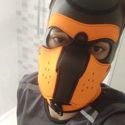 pupconnoravirus OnlyFans picture
