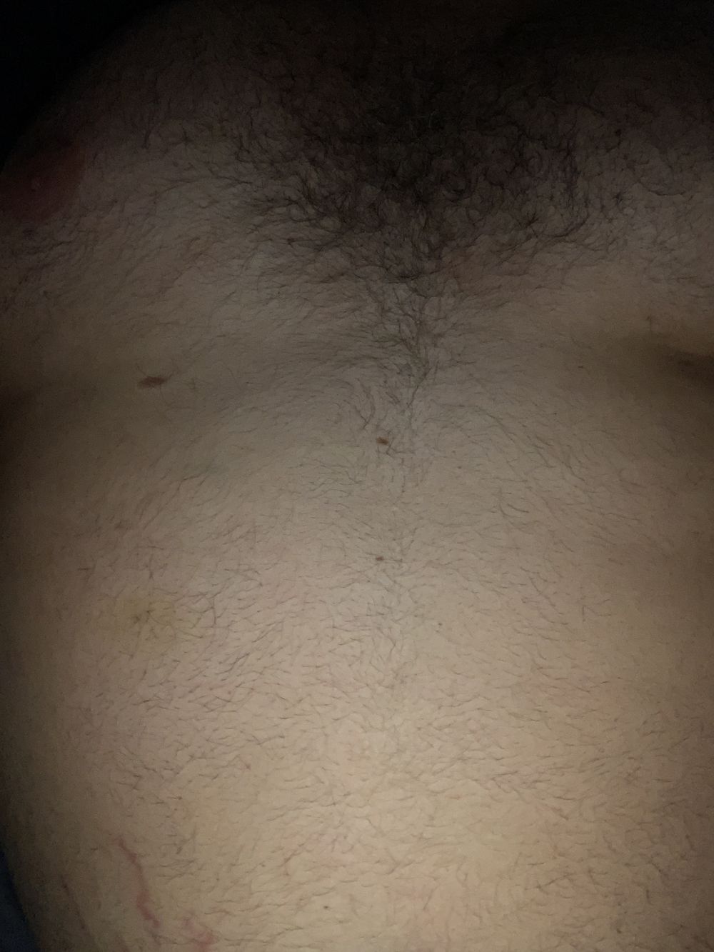 versbear2115 OnlyFans profile picture