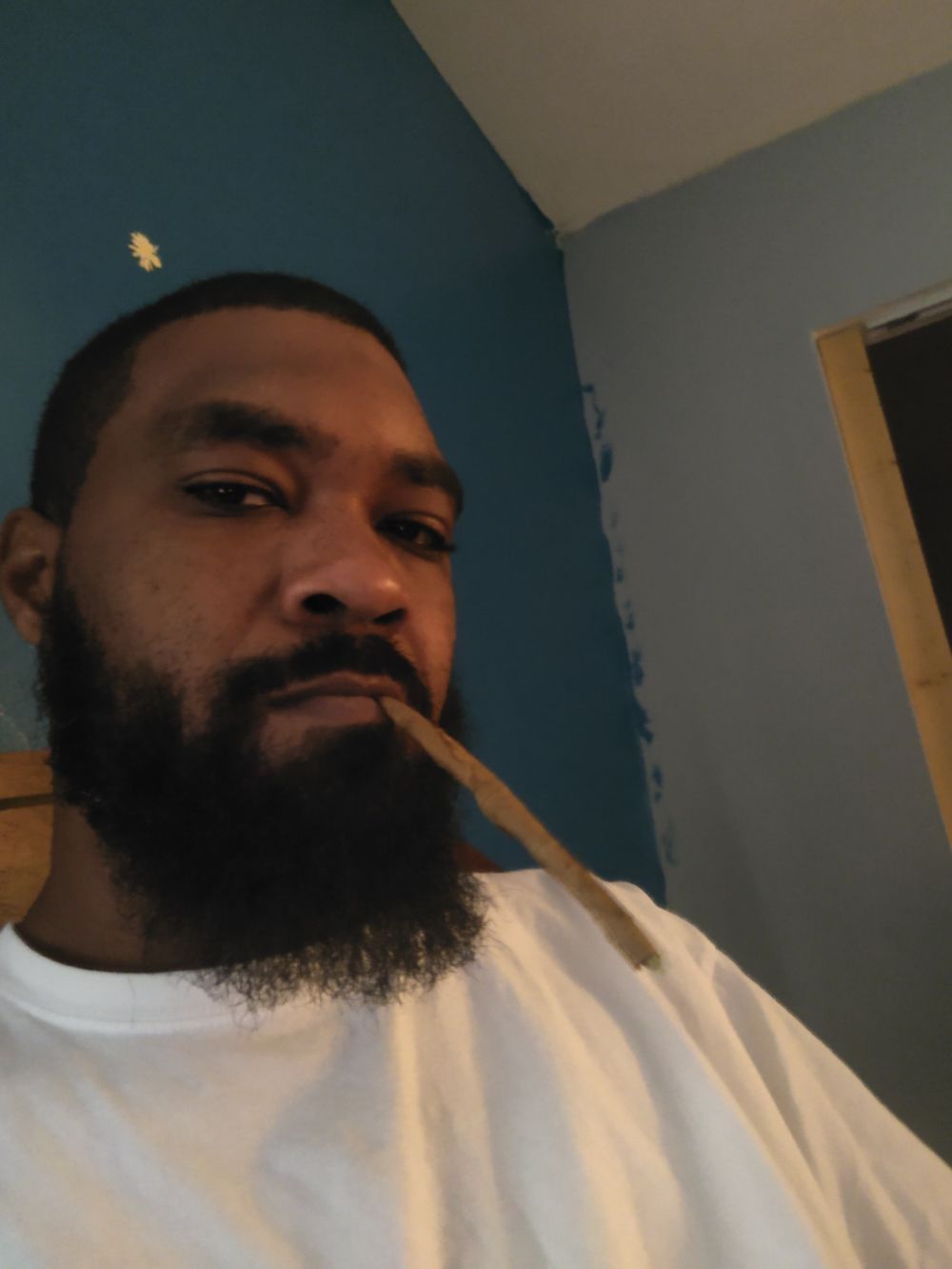 tree85 OnlyFans profile picture
