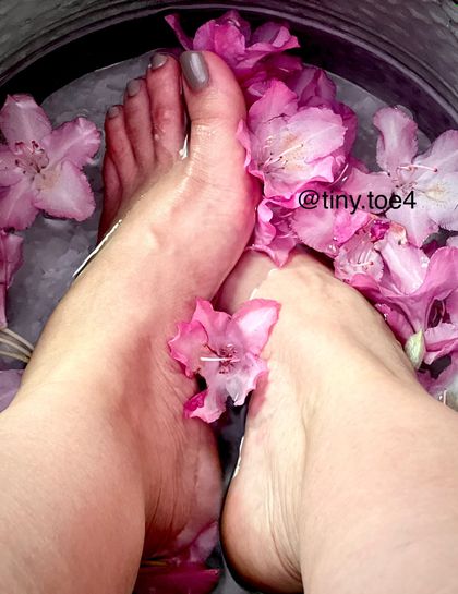 tiny.toe4 OnlyFans picture