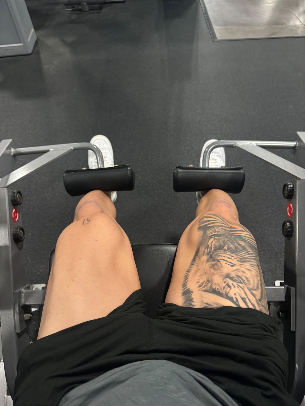 andre_wtorres69 OnlyFans profile picture