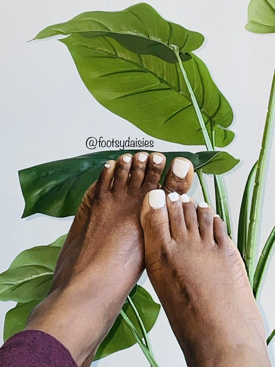 footsydaisies OnlyFans profile picture