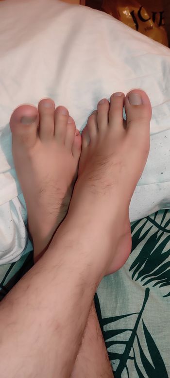 Pies sexi