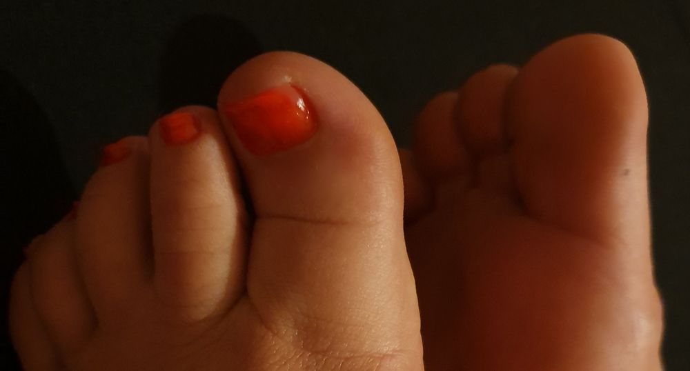 toehoexx OnlyFans profile picture