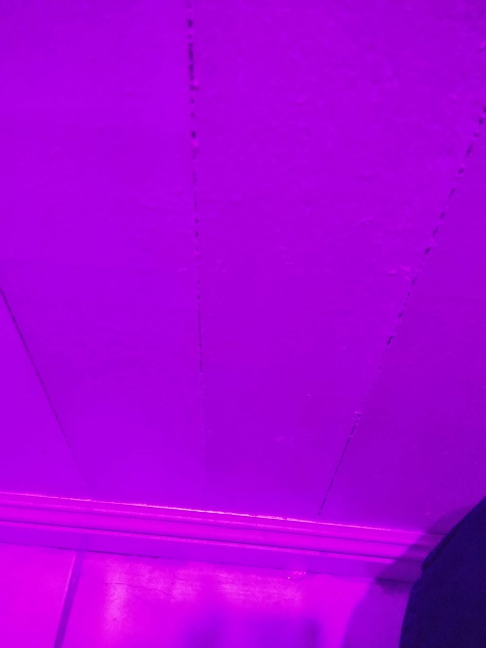 nsfwghostboy OnlyFans profile picture