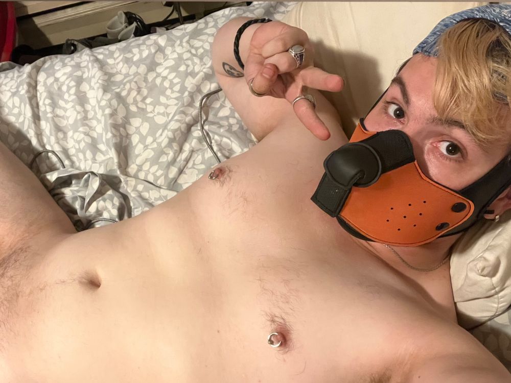 pup_cuddles OnlyFans profile picture
