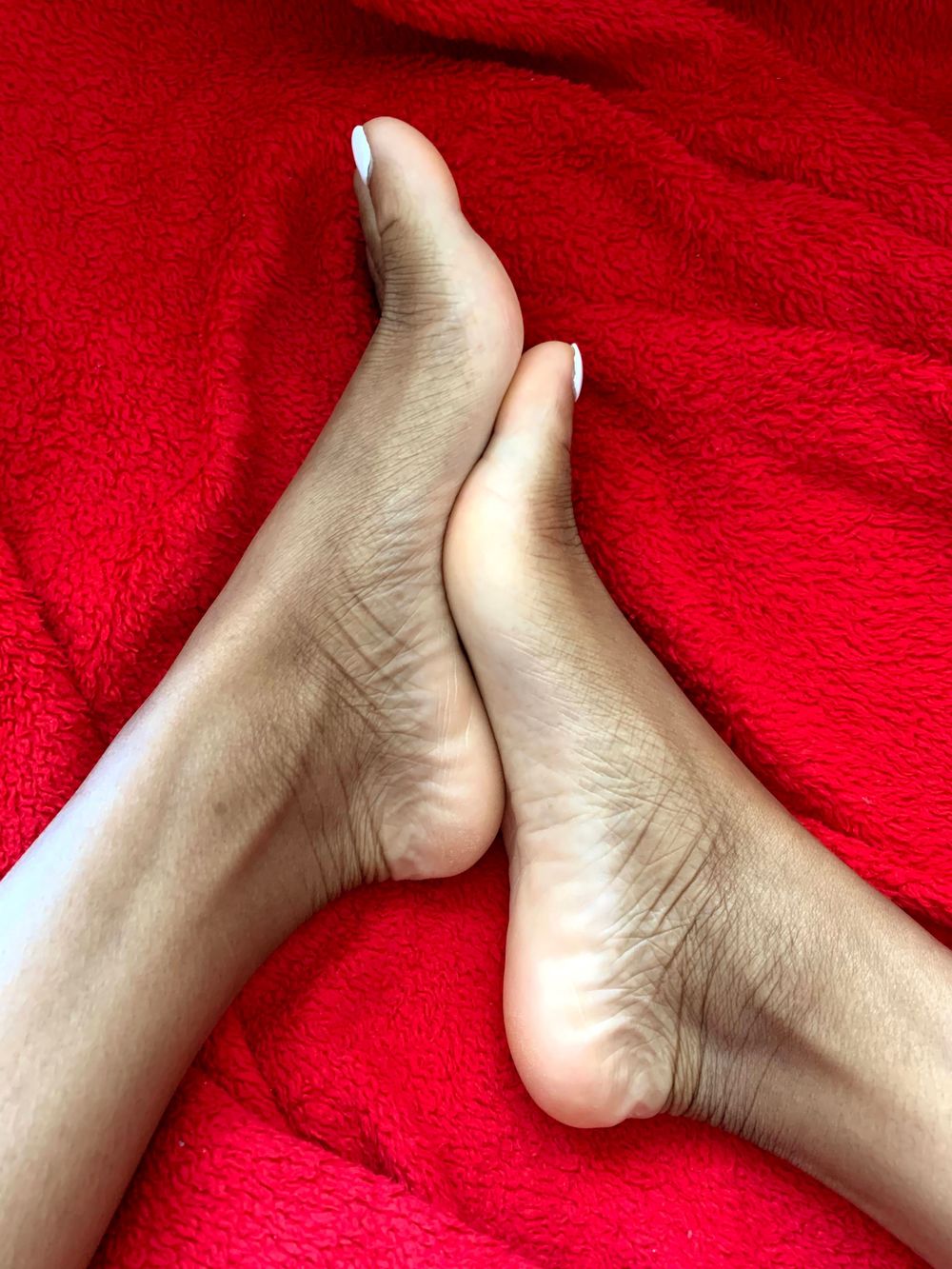 canarylou OnlyFans profile picture