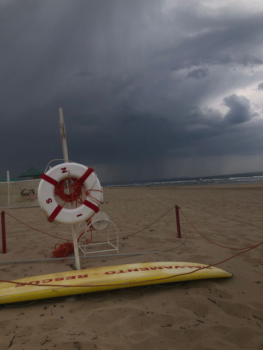 lifeguardmeninas OnlyFans profile picture