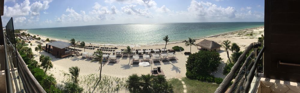 Trixie @foopahh OnlyFans Profile. Review, Photos, Statistics