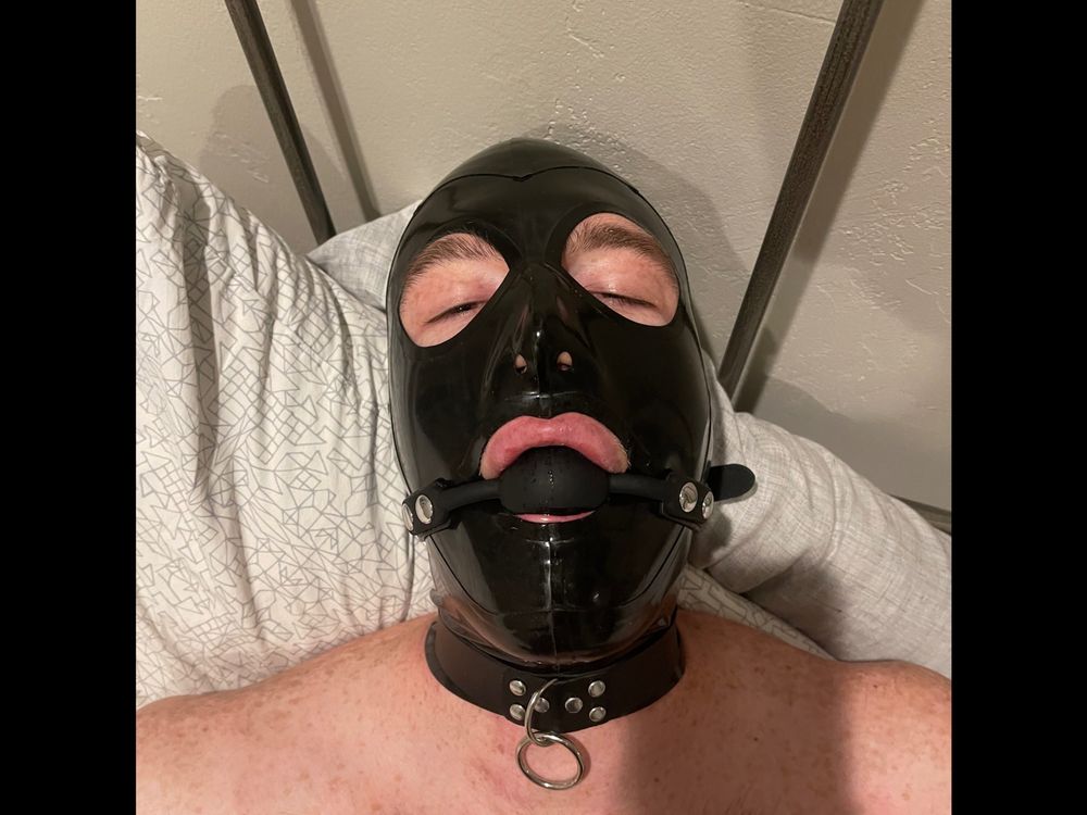 u246884452 OnlyFans profile picture