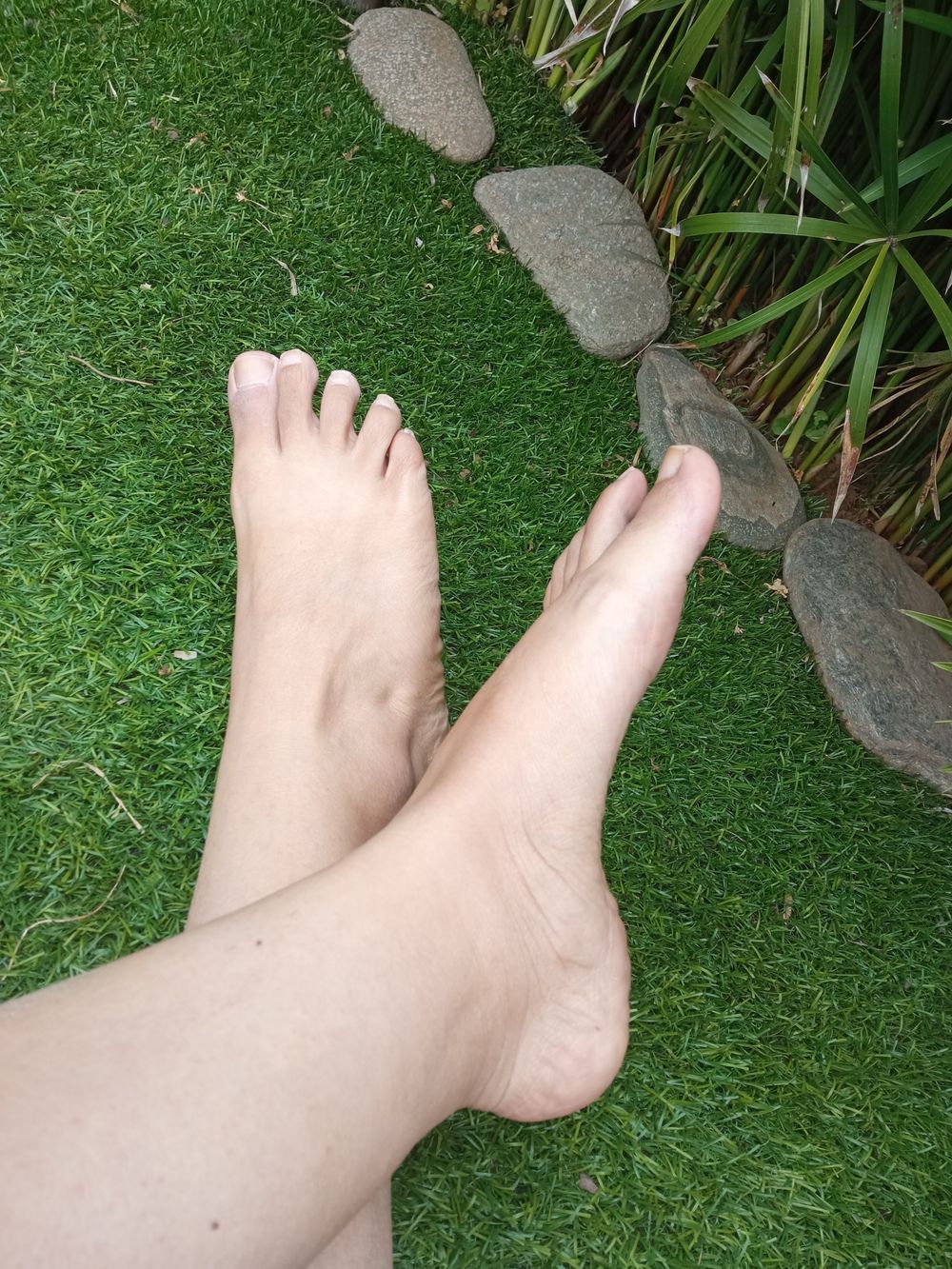 mimi_pies OnlyFans profile picture