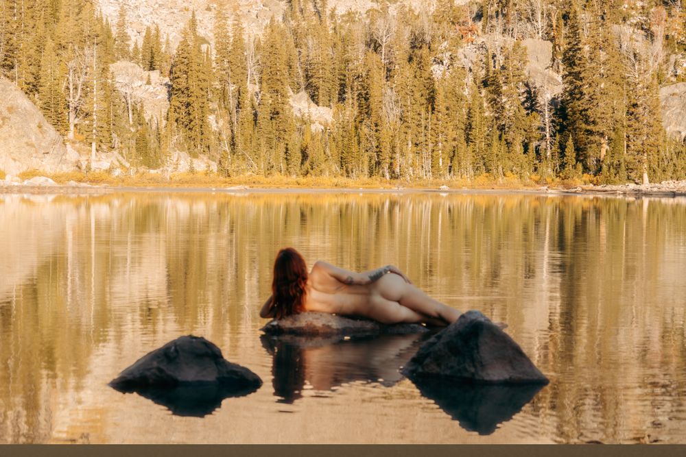 court.inthewild OnlyFans profile picture