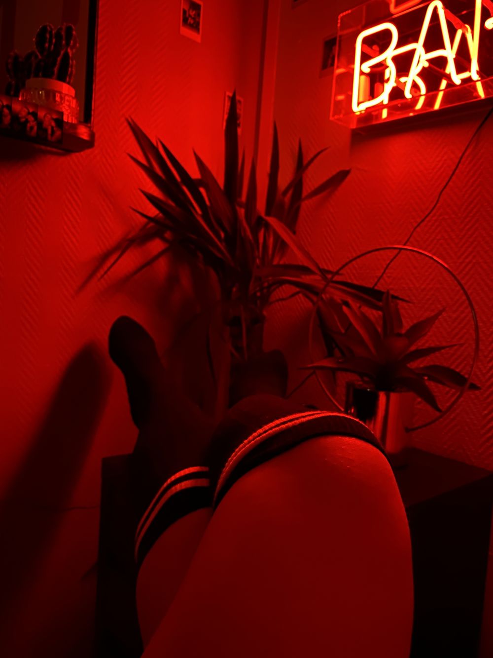 lapetraoff OnlyFans profile picture