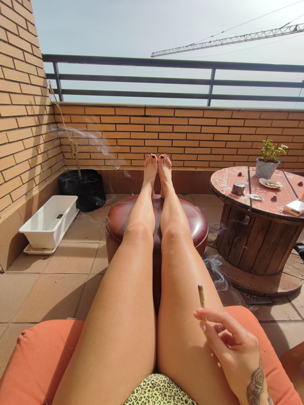 piessdeprincess OnlyFans profile picture